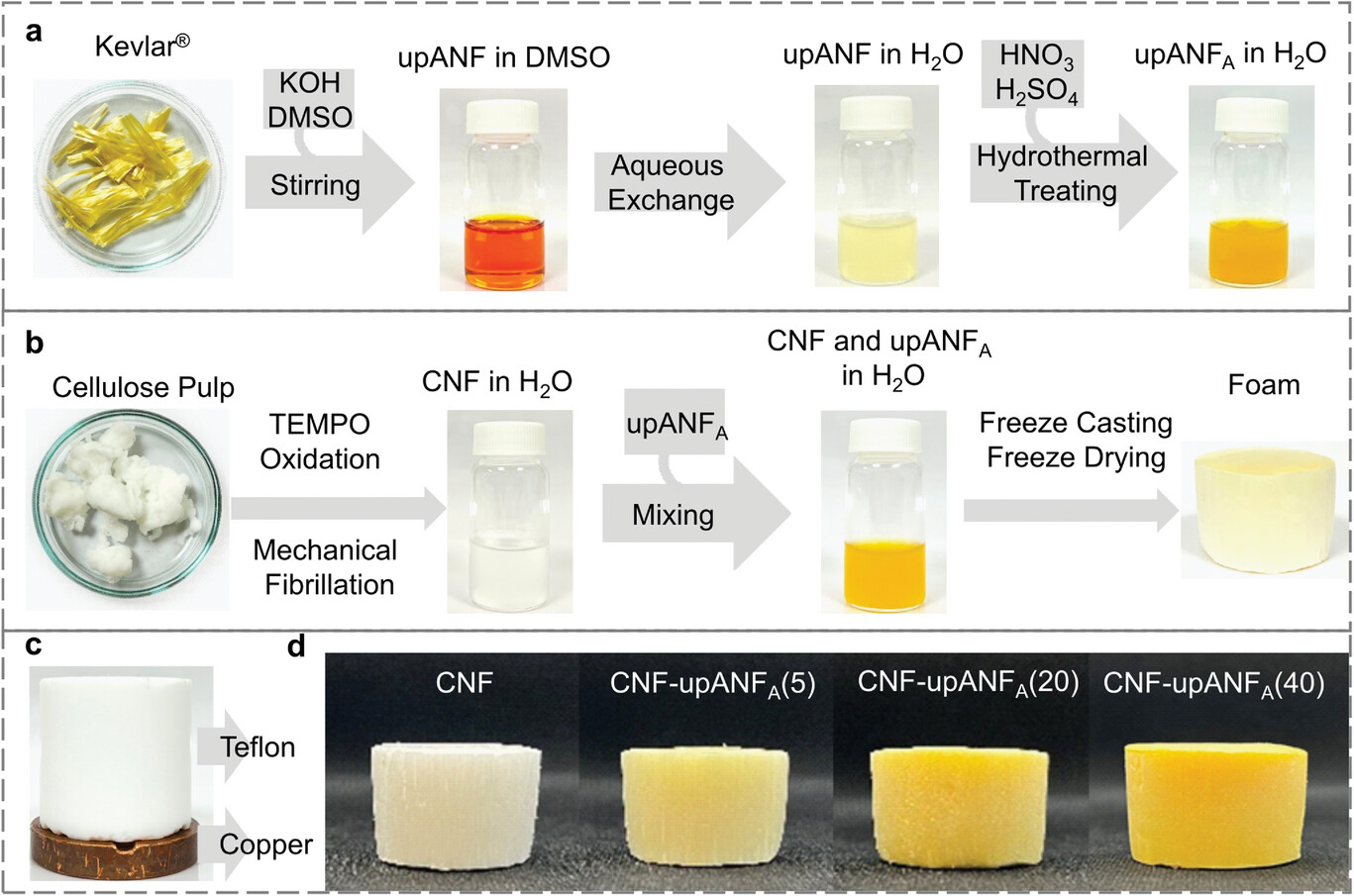 Thermally Insulating and Moisture-Resilient Foams Detail