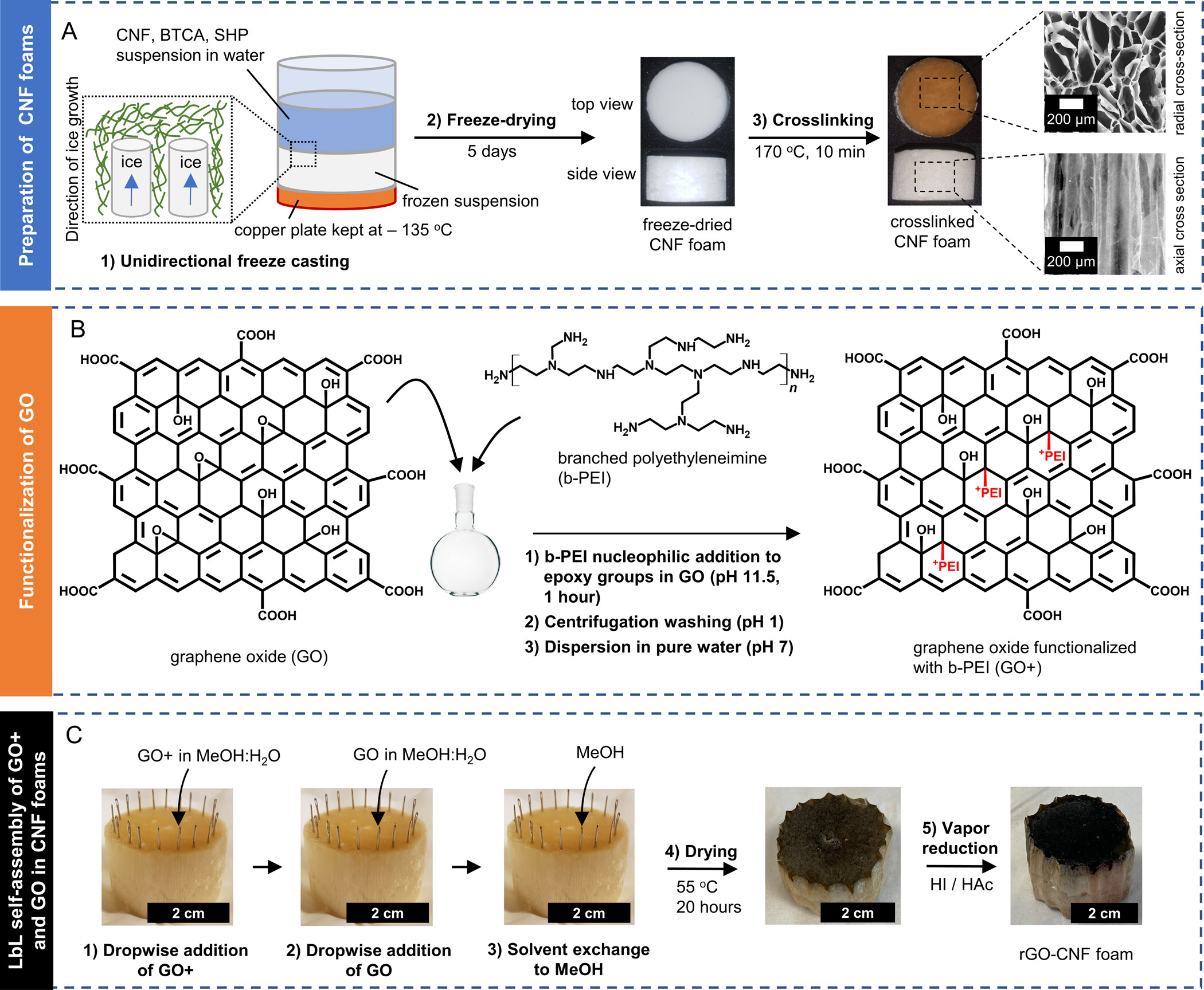 Hierarchical Reduced Graphene Oxide in CNF Foams Detail