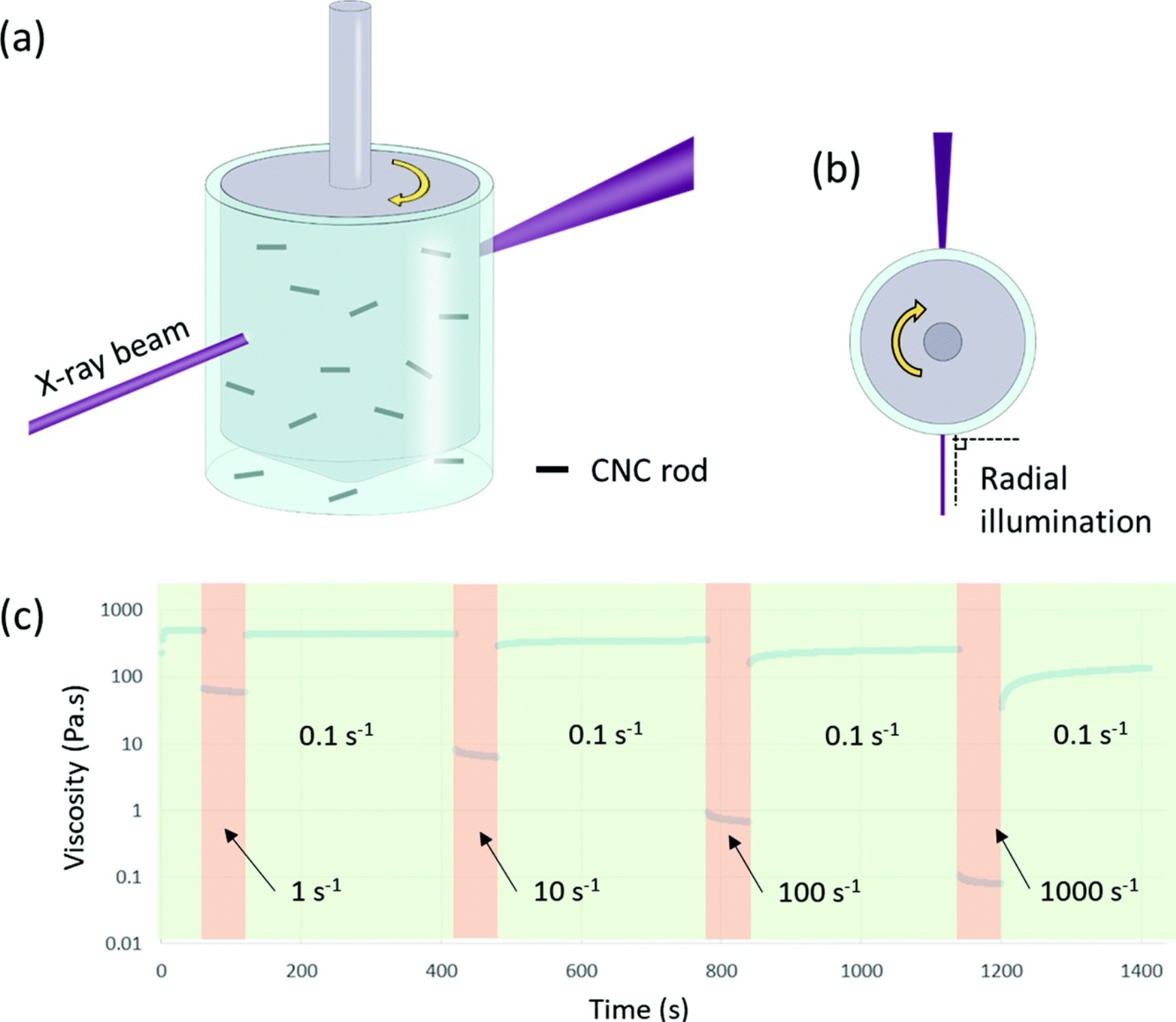Rheo-SAXS Study of Nanocomposites Detail
